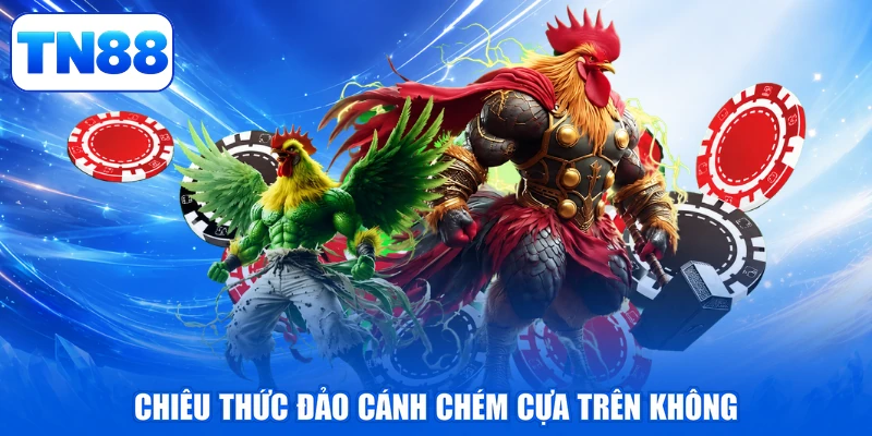 Đá Gà Cựa Dao - Tranh Tài Nảy Lửa, Thắng Lớn Liền Tay 3 Chiêu thức đảo cánh chém cựa trên không