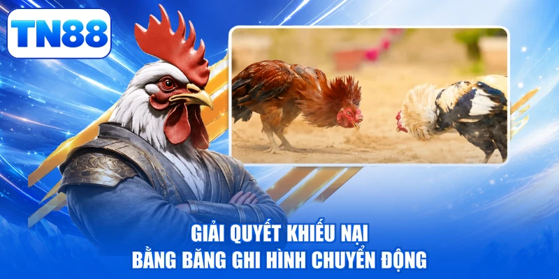 Luật Đá Gà TN88 - Bí Quyết Nắm Bắt Rinh Quà Cực Đỉnh 4 Giải quyết khiếu nại bằng băng ghi hình chuyển động