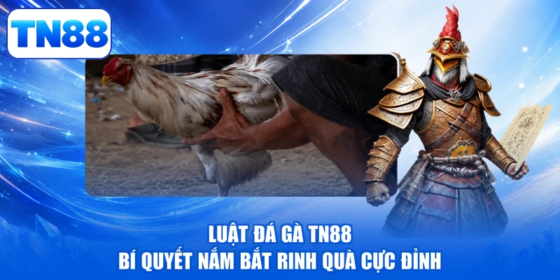 Luật Đá Gà TN88 - Bí Quyết Nắm Bắt Rinh Quà Cực Đỉnh 1 Luật Đá Gà TN88 - Bí Quyết Nắm Bắt Rinh Quà Cực Đỉnh