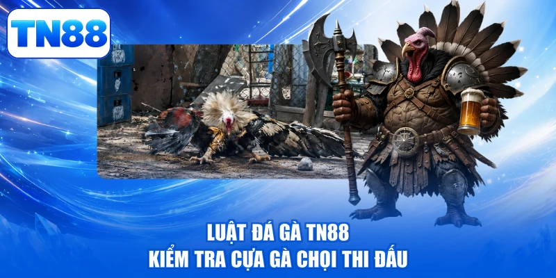 Luật Đá Gà TN88 - Bí Quyết Nắm Bắt Rinh Quà Cực Đỉnh 2 Luật đá gà TN88 kiểm tra cựa gà chọi thi đấu